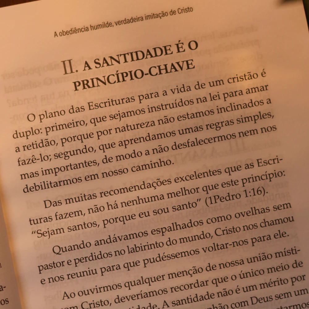 Imagem do produto 6