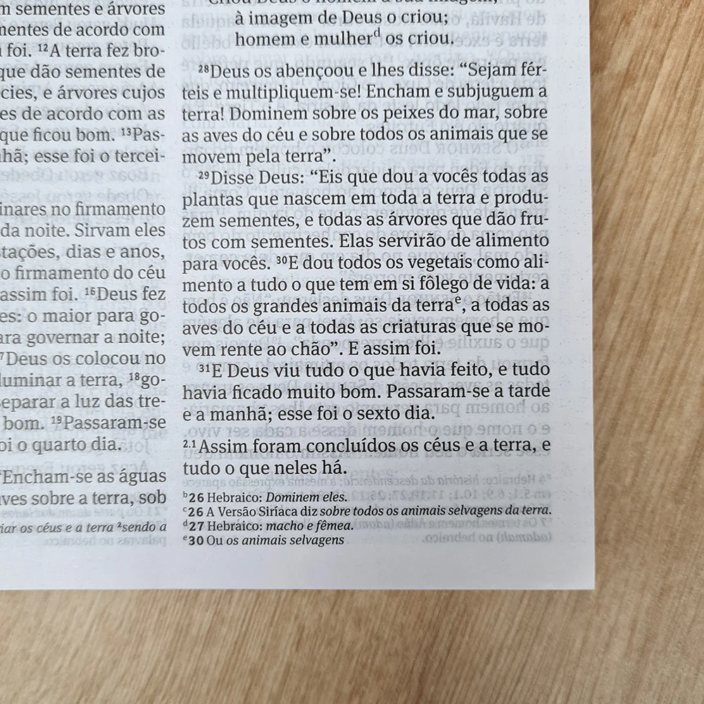 Imagem do produto 10
