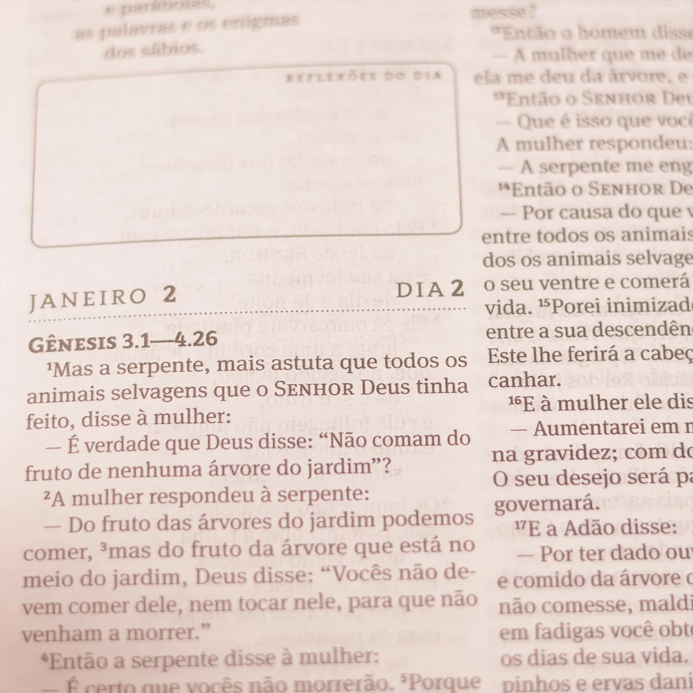 Imagem do produto 10