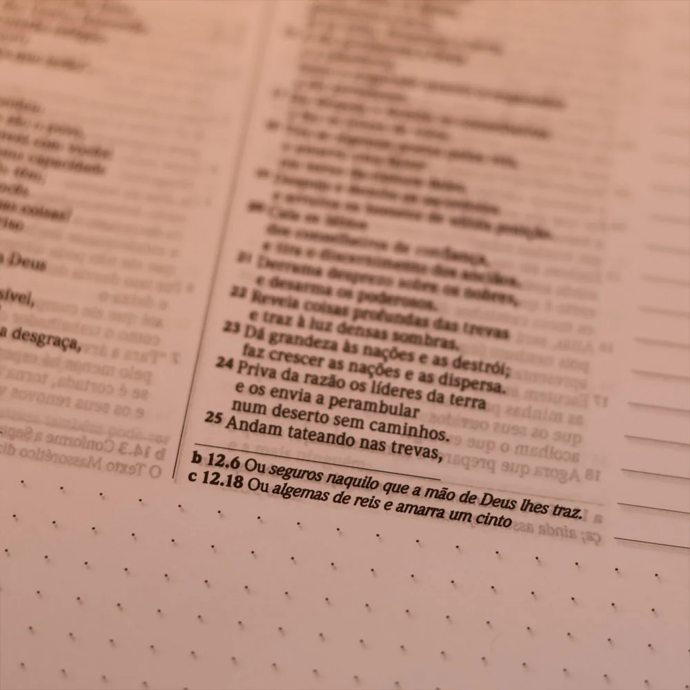 Imagem do produto 8
