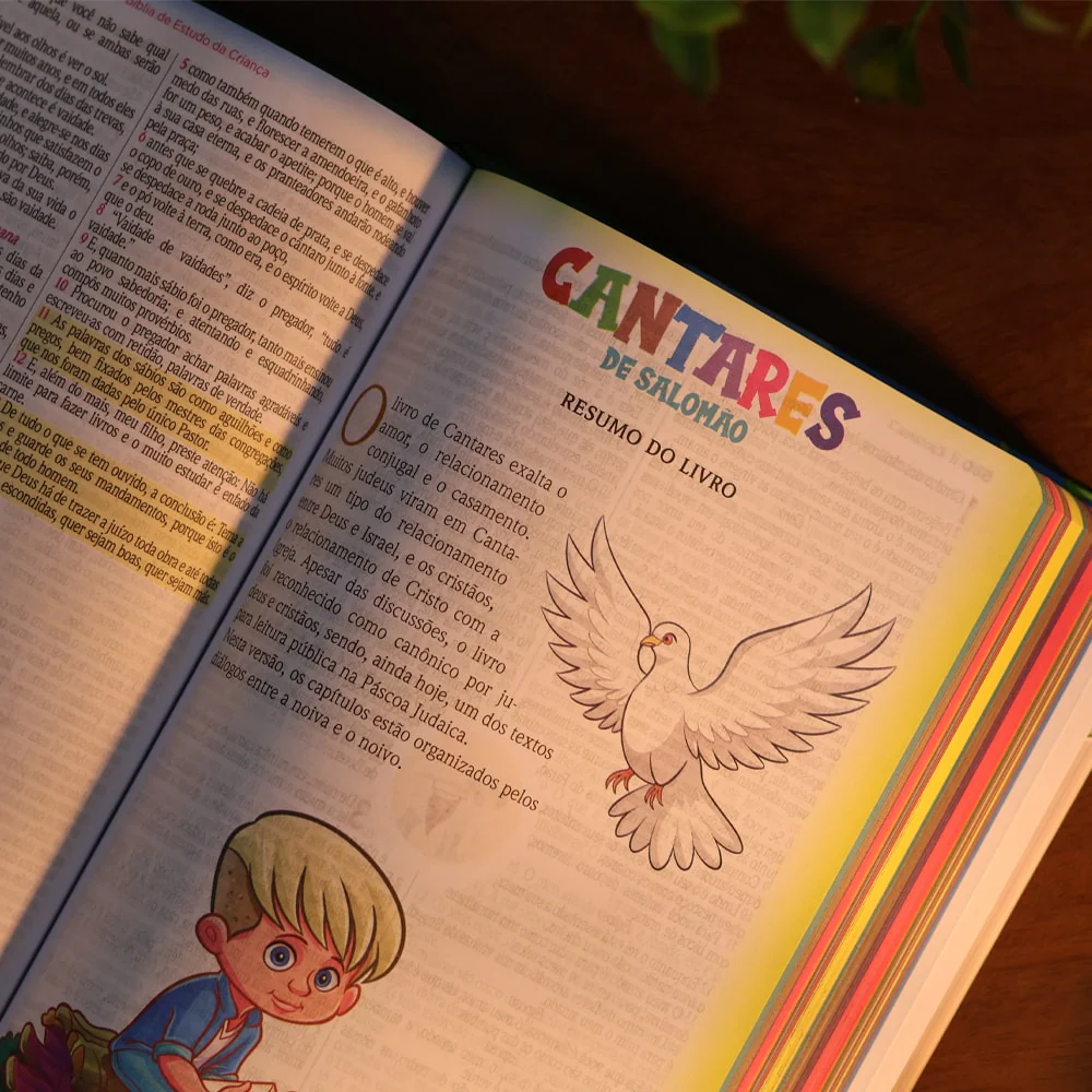 Imagem do produto 10