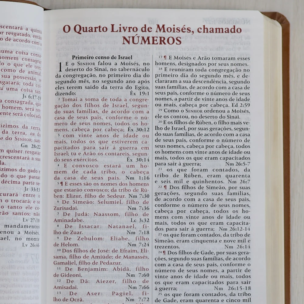 Imagem do produto 7