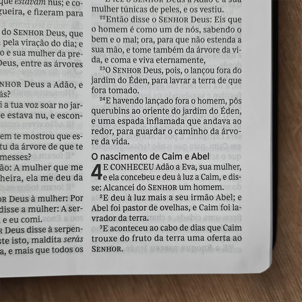 Imagem do produto 5