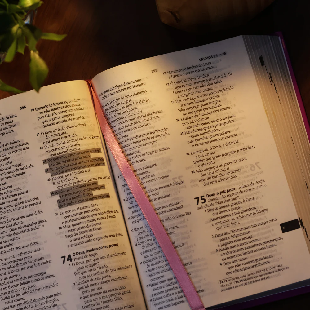 Imagem do produto 7