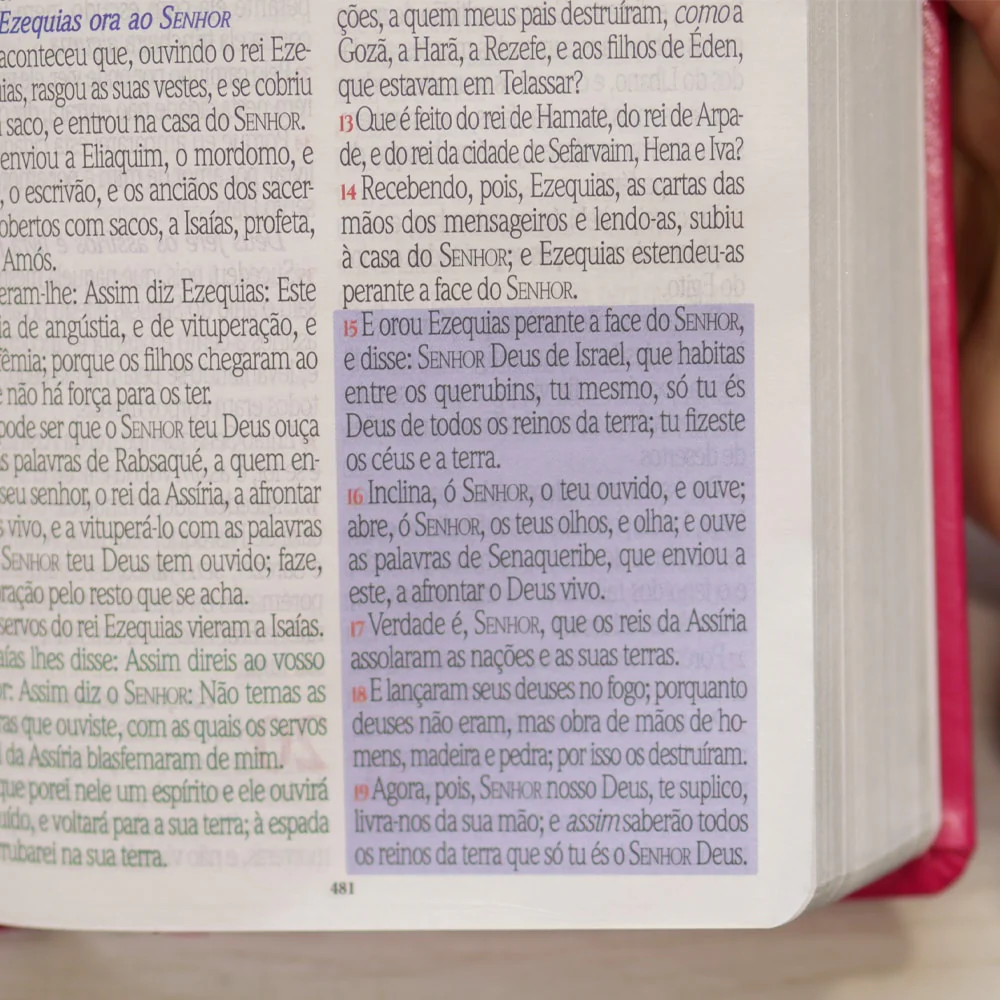 Imagem do produto 8