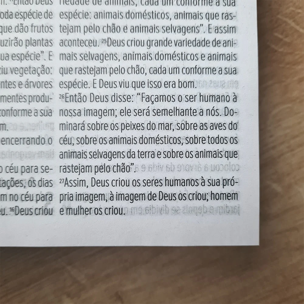 Imagem do produto 7