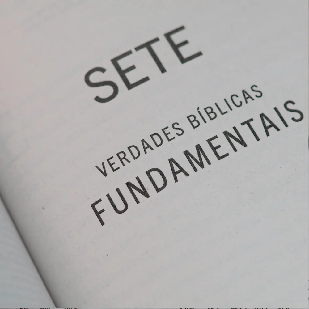 Imagem do produto 10