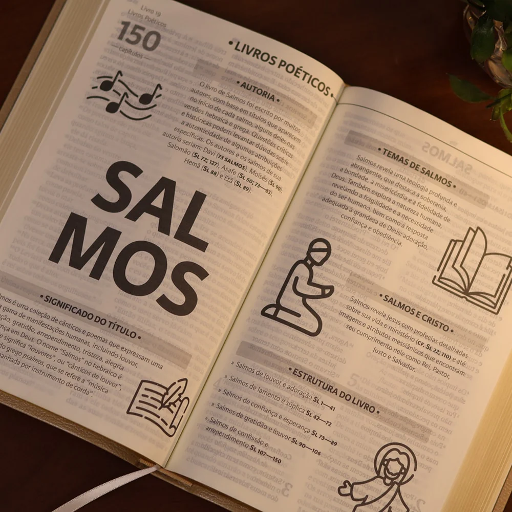 Imagem do produto 7