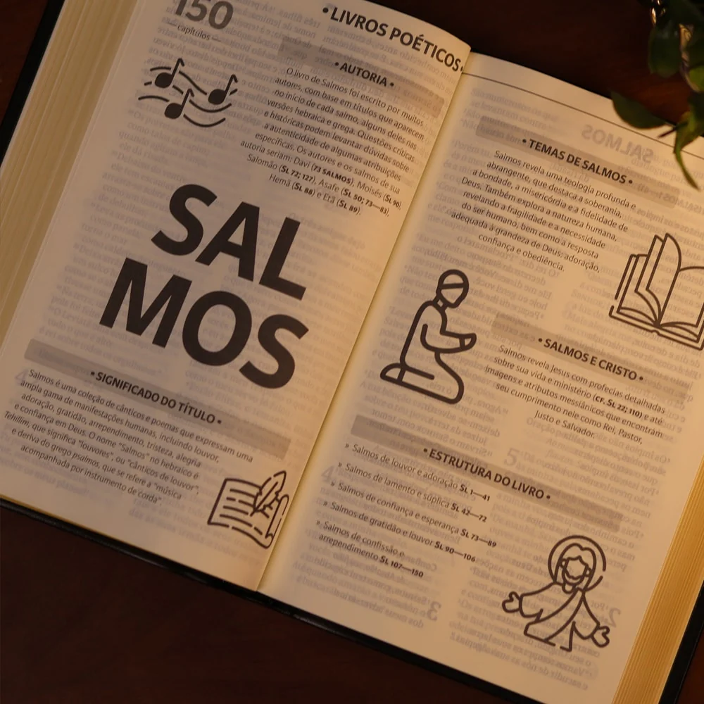 Imagem do produto 7