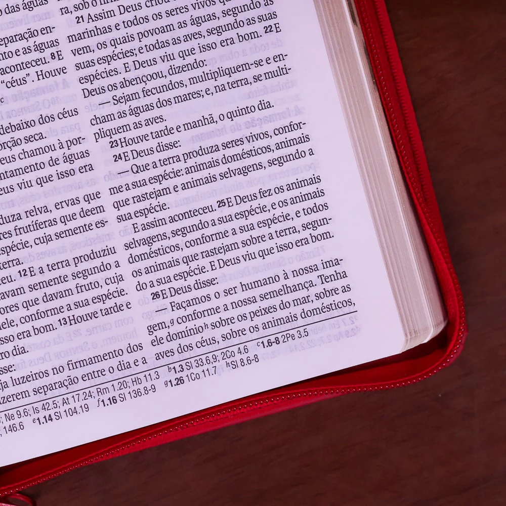 Imagem do produto 6