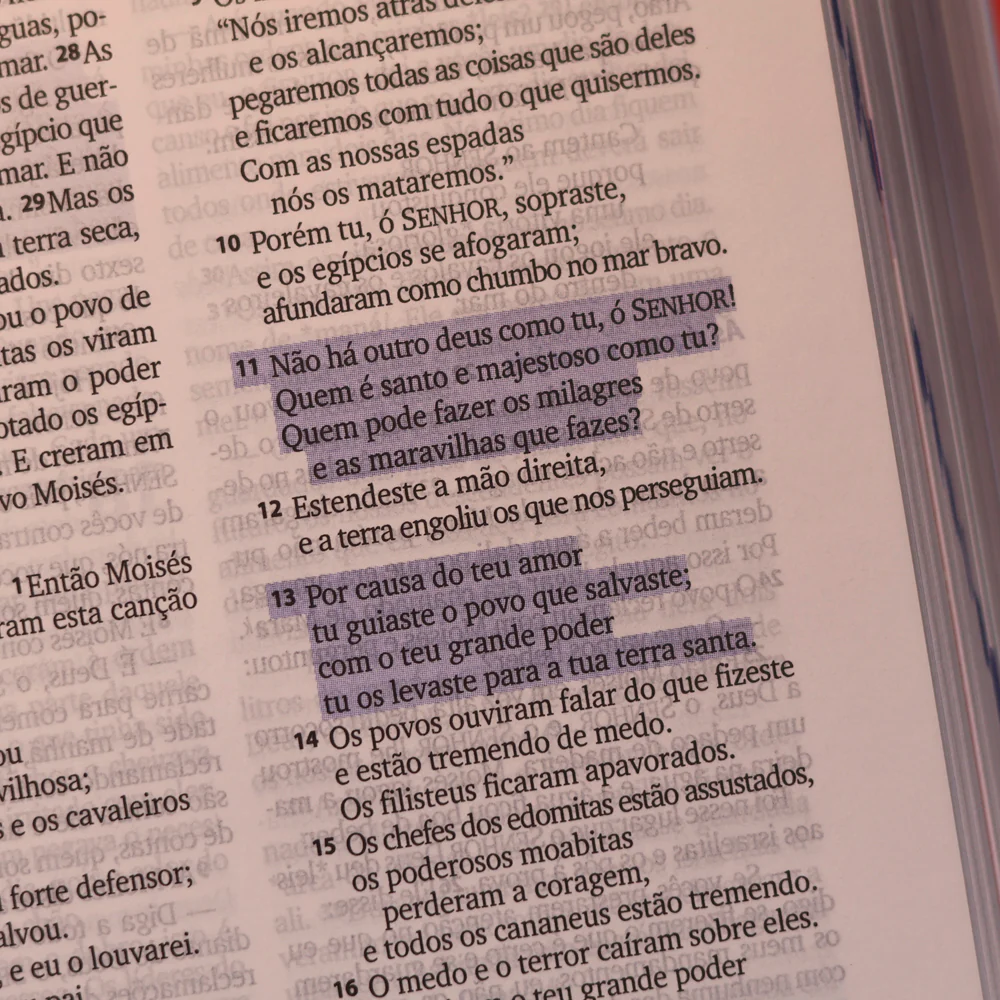 Imagem do produto 6