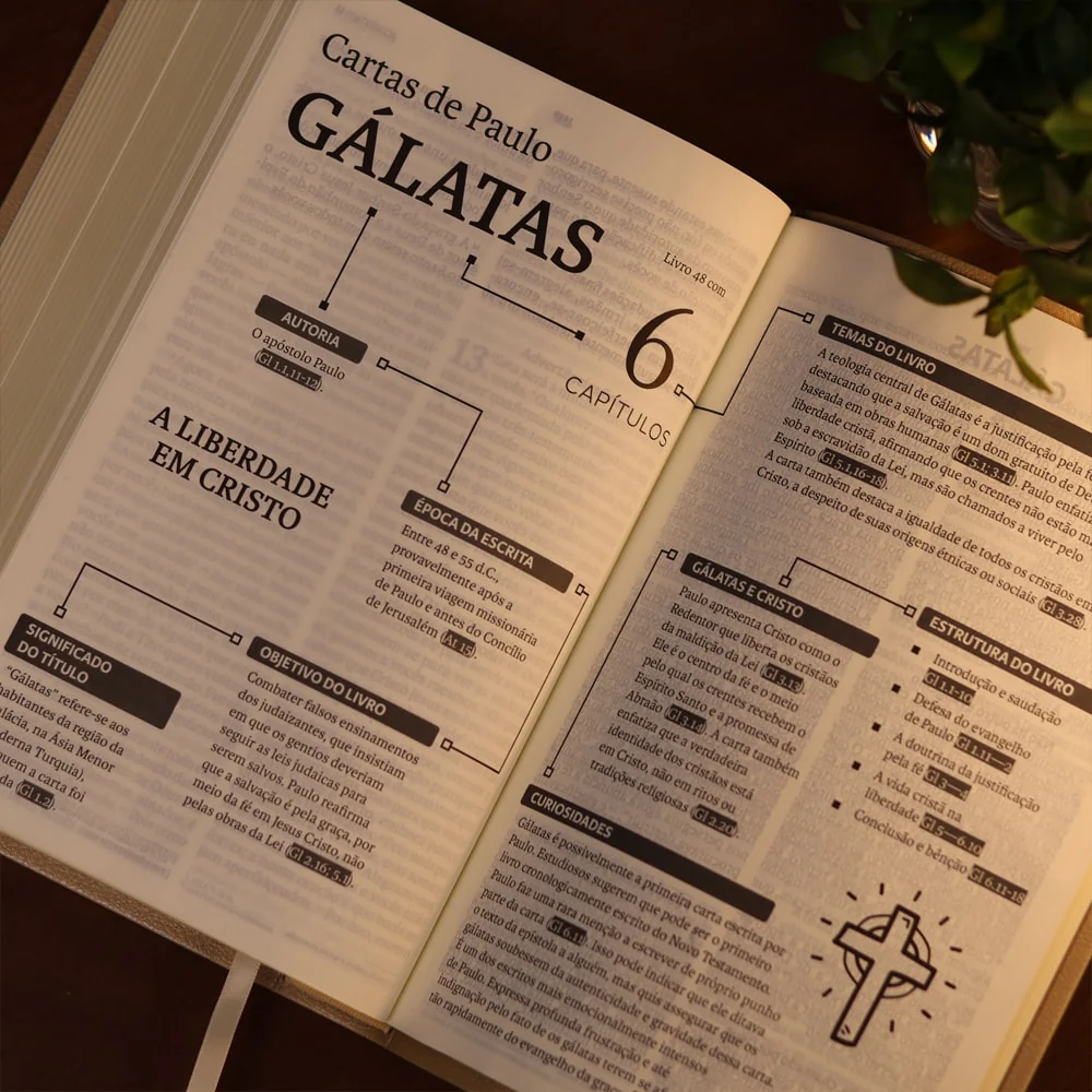 Imagem do produto 7