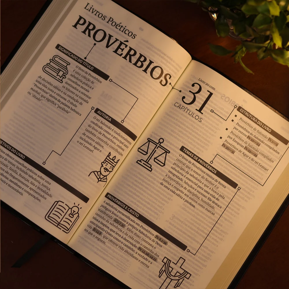 Imagem do produto 7