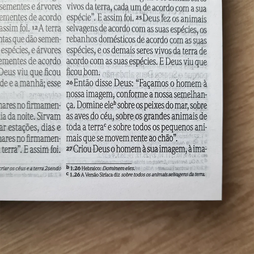 Imagem do produto 8