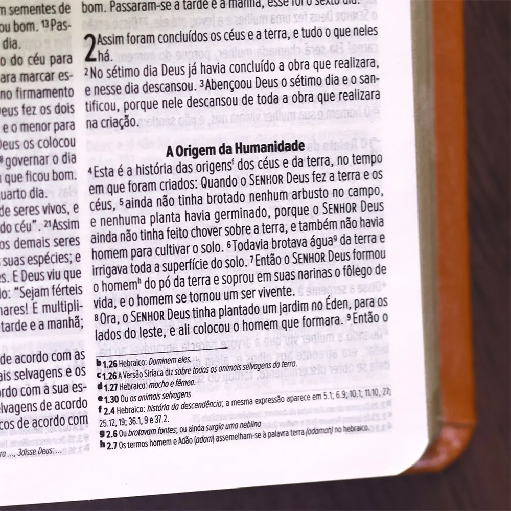 Imagem do produto 4