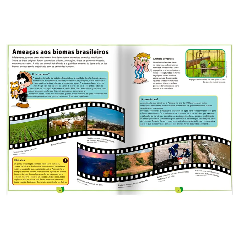 Imagem do produto 2