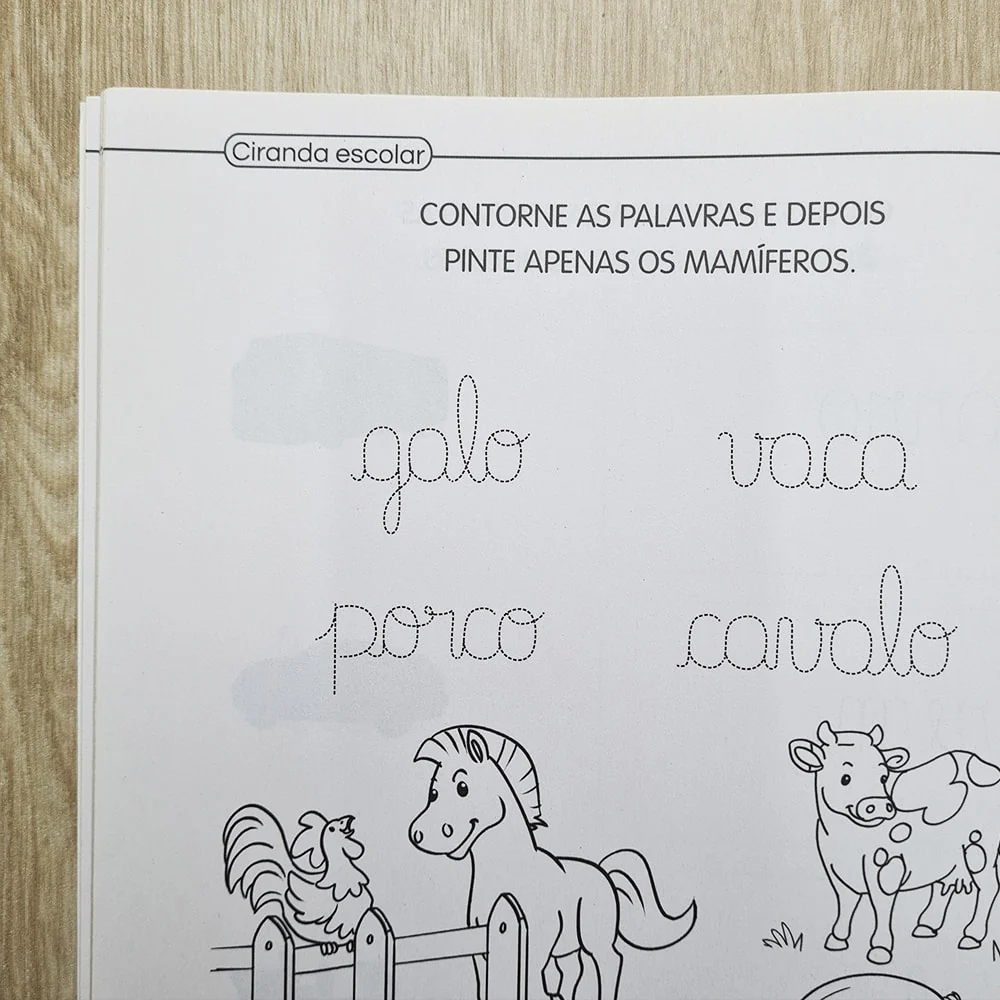 Imagem do produto 3