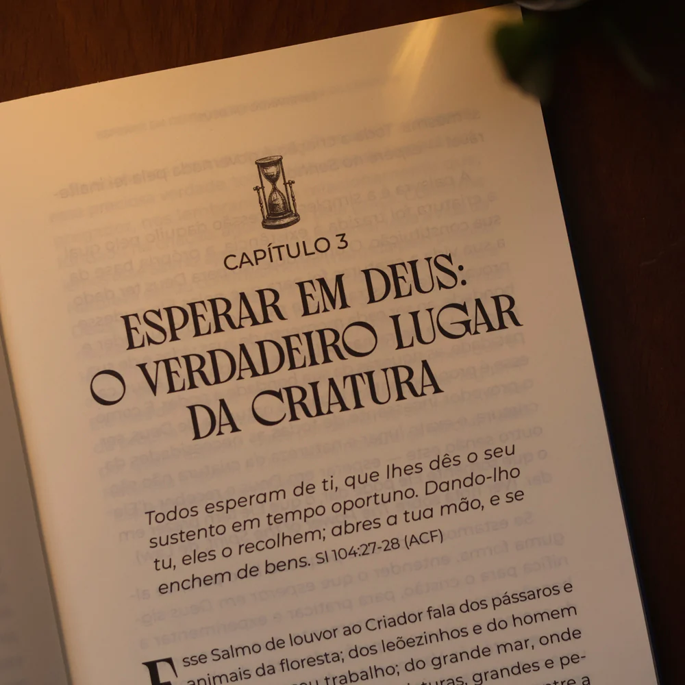 Imagem do produto 7