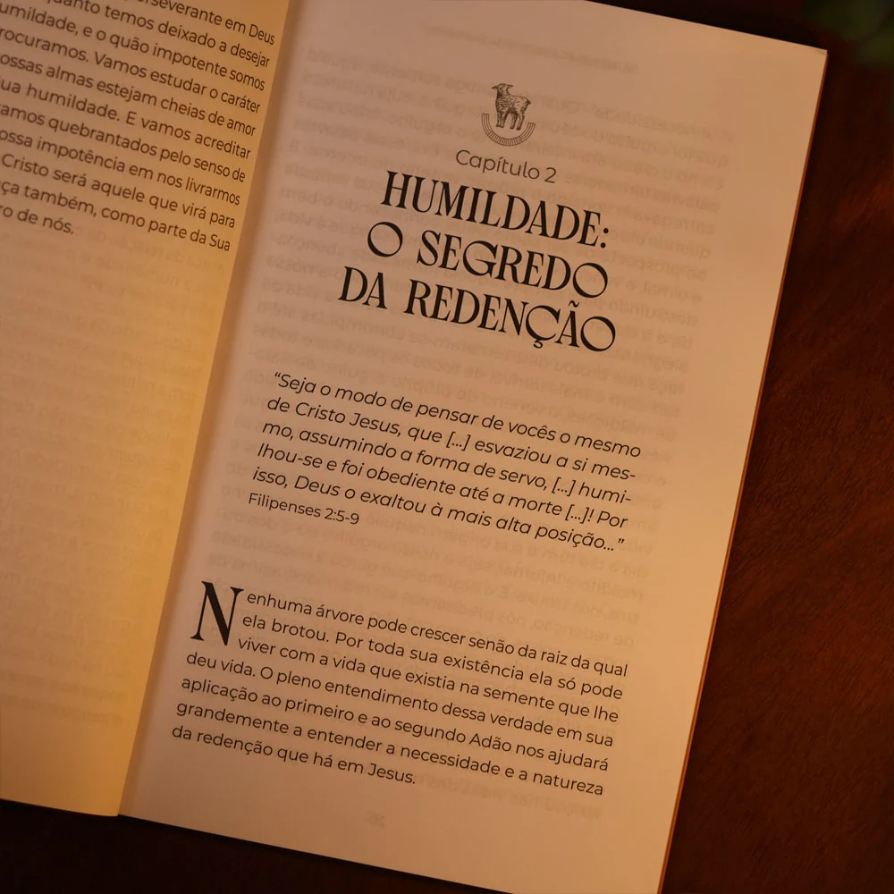 Imagem do produto 7