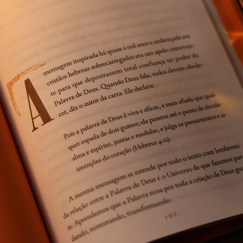 Imagem do produto 7