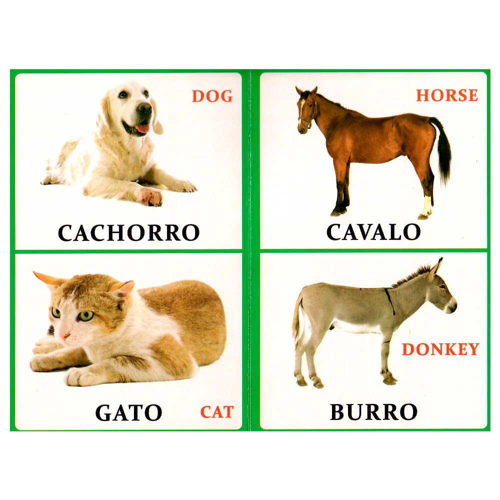 Imagem do produto 2
