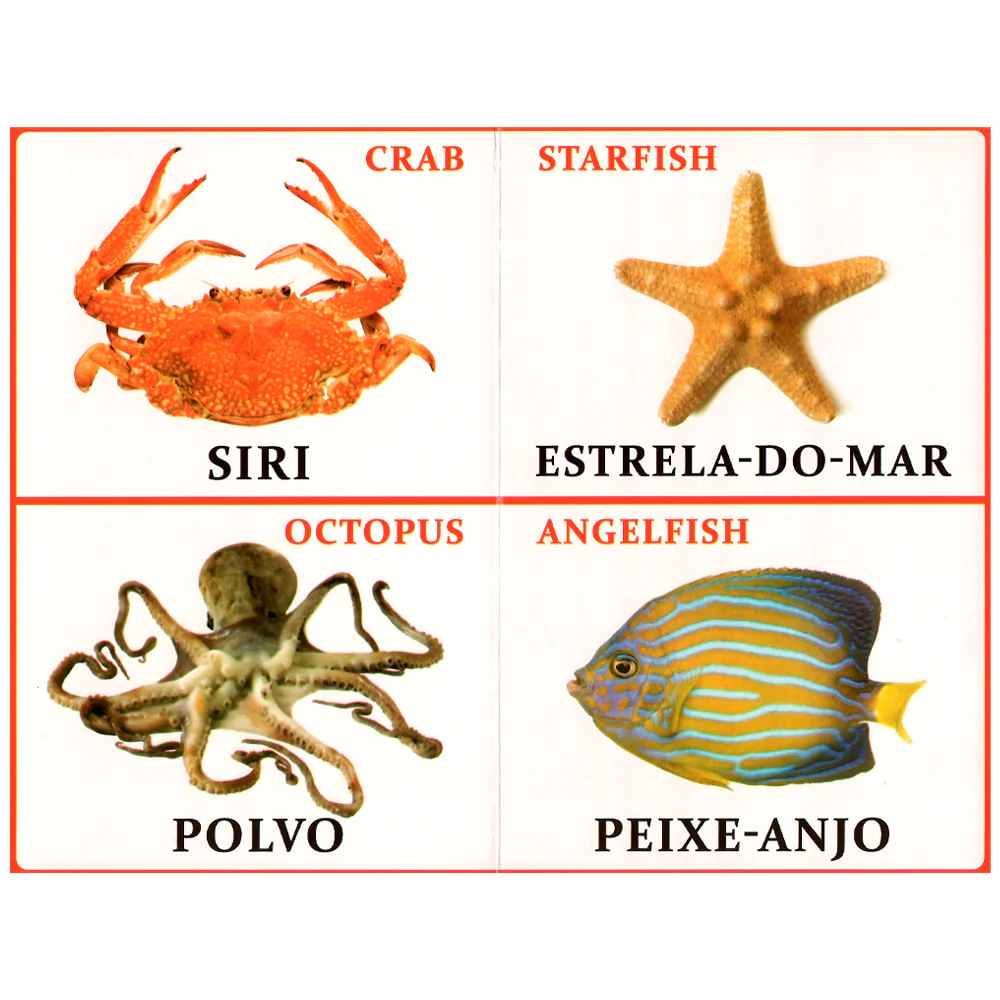 Imagem do produto 2