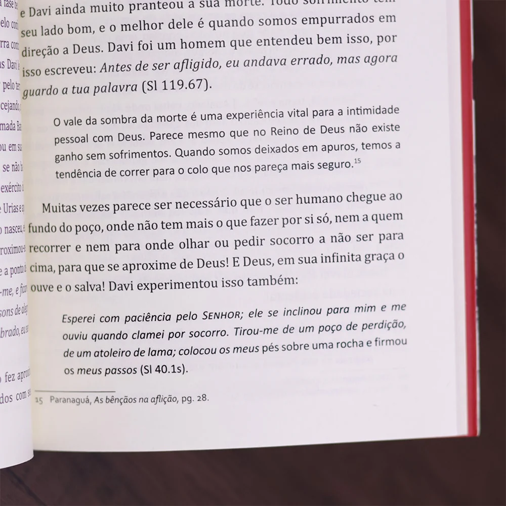 Imagem do produto 10
