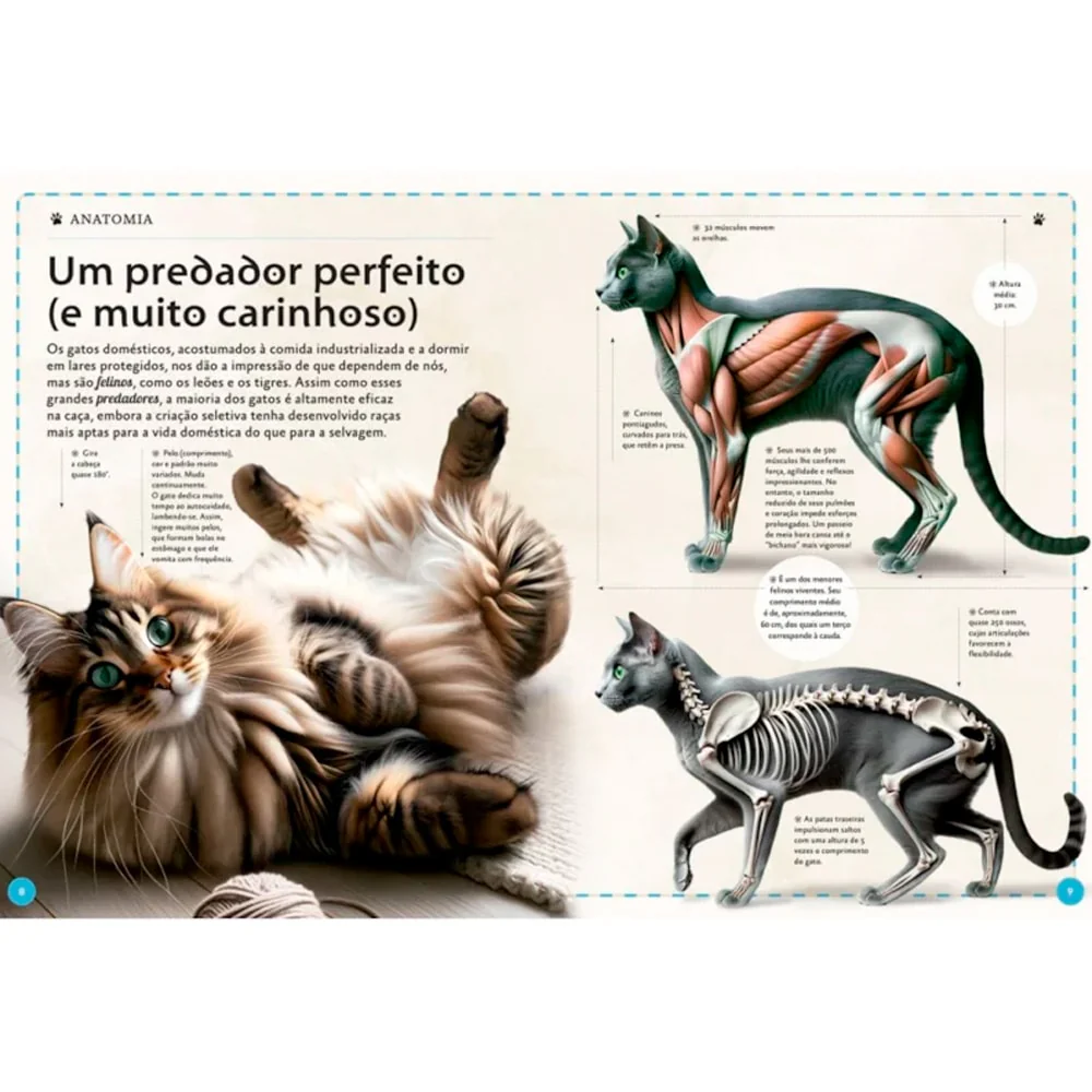 Imagem do produto 2