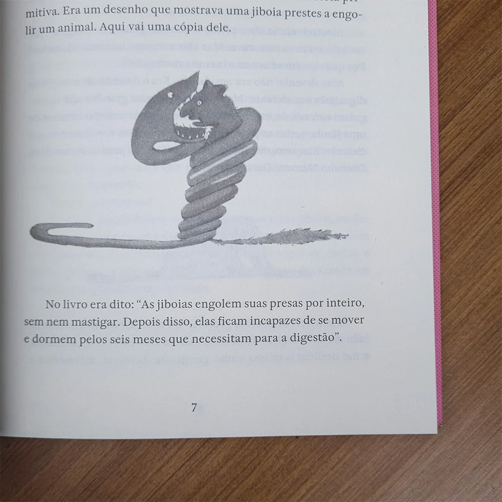 Imagem do produto 8