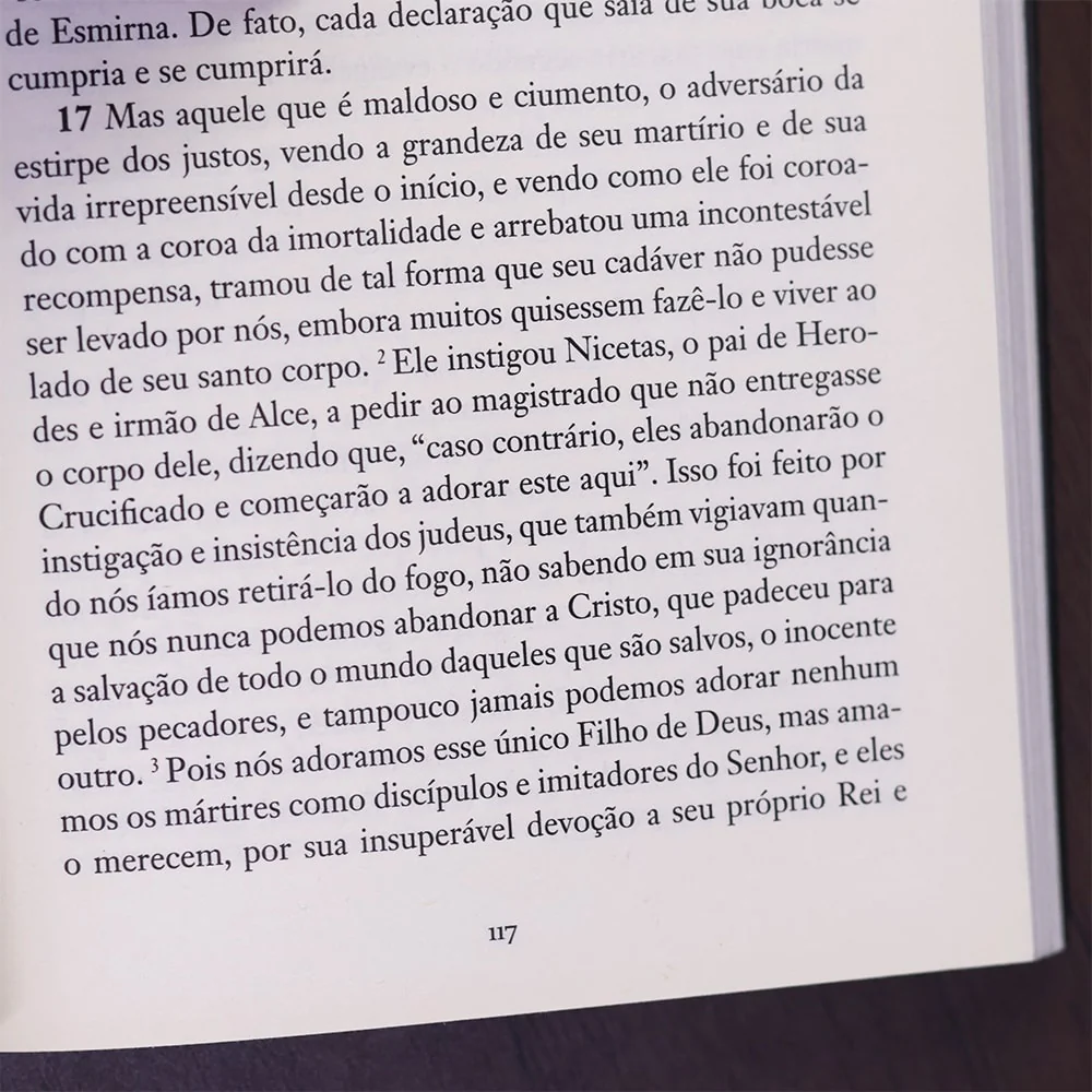 Imagem do produto 10