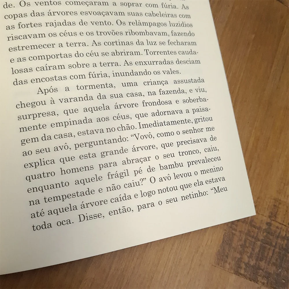 Imagem do produto 8