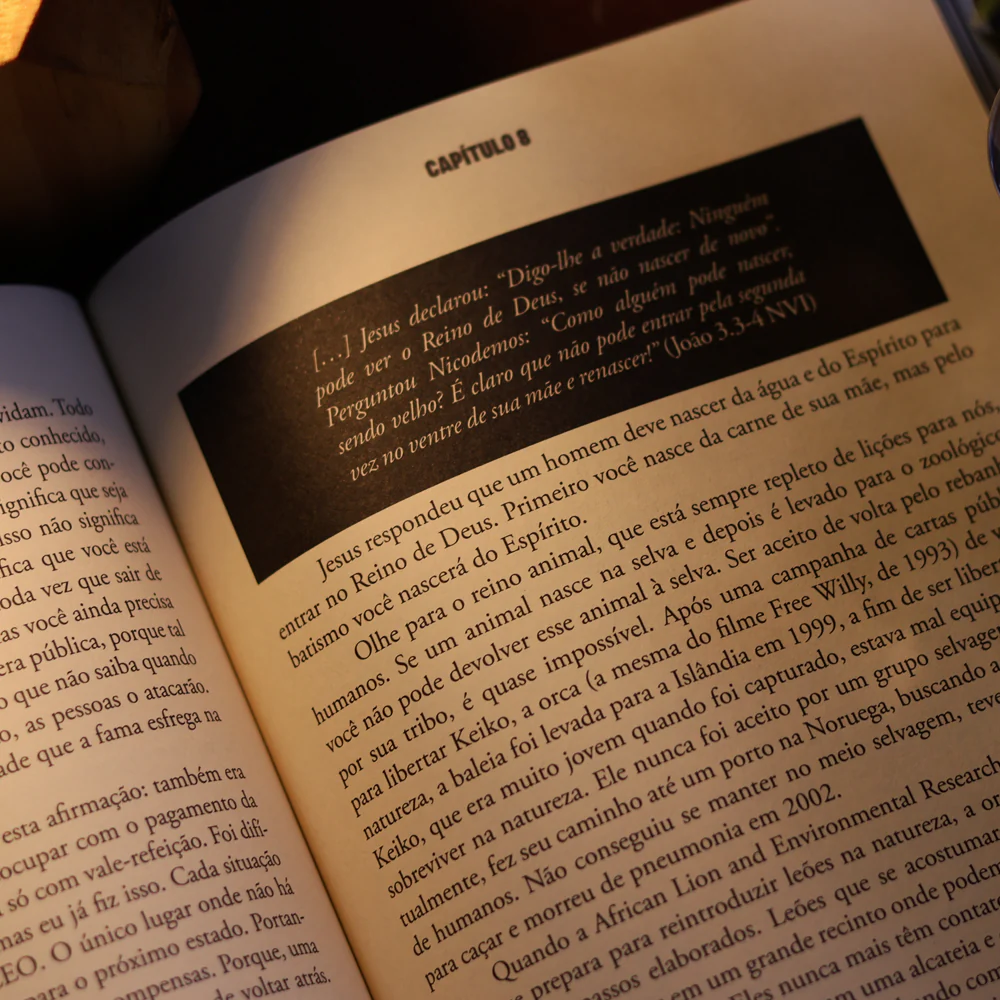 Imagem do produto 8